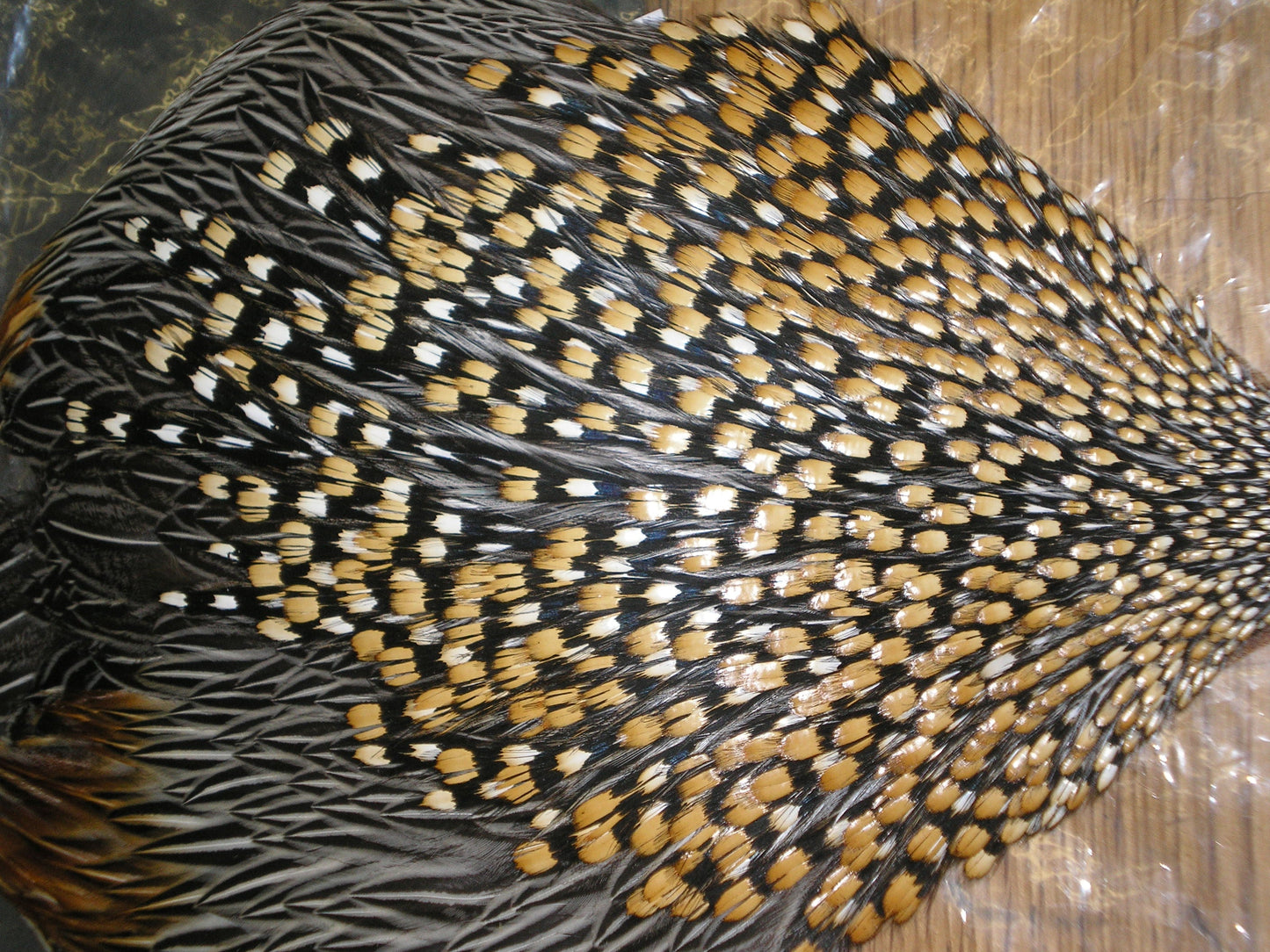 Jungle Cock Capes - All grades