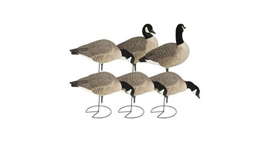 Ghg Decoy Systems Hunter Series Full Body Lesser Harvesters Decoy 6 Pack