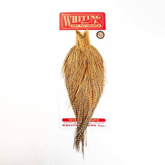 Whiting Bronze Cape
