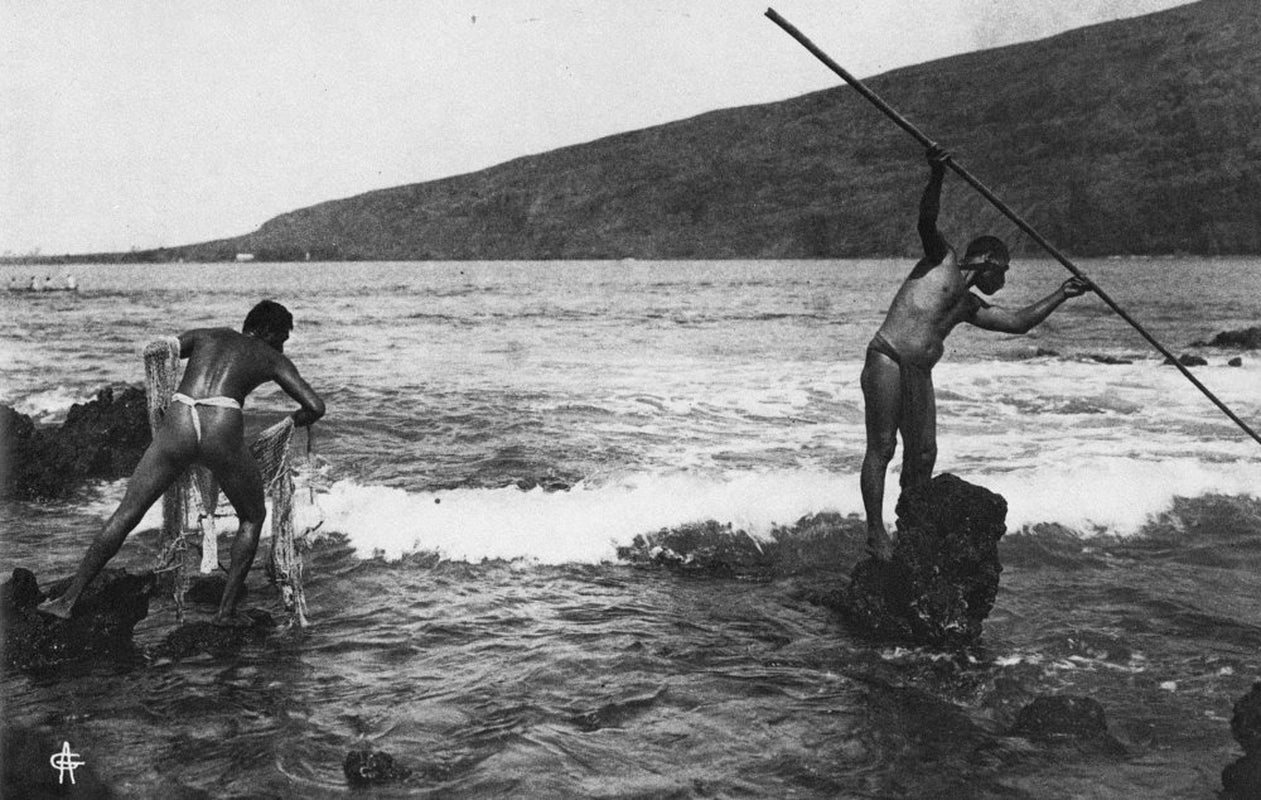 Hawaii: Fishermen, C1905. /Nnative Hawaiian Fishermen Fishing with a Spear and a Net. Photograph by Alonzo Gartley, C1905. Poster Print by (18 X 24)