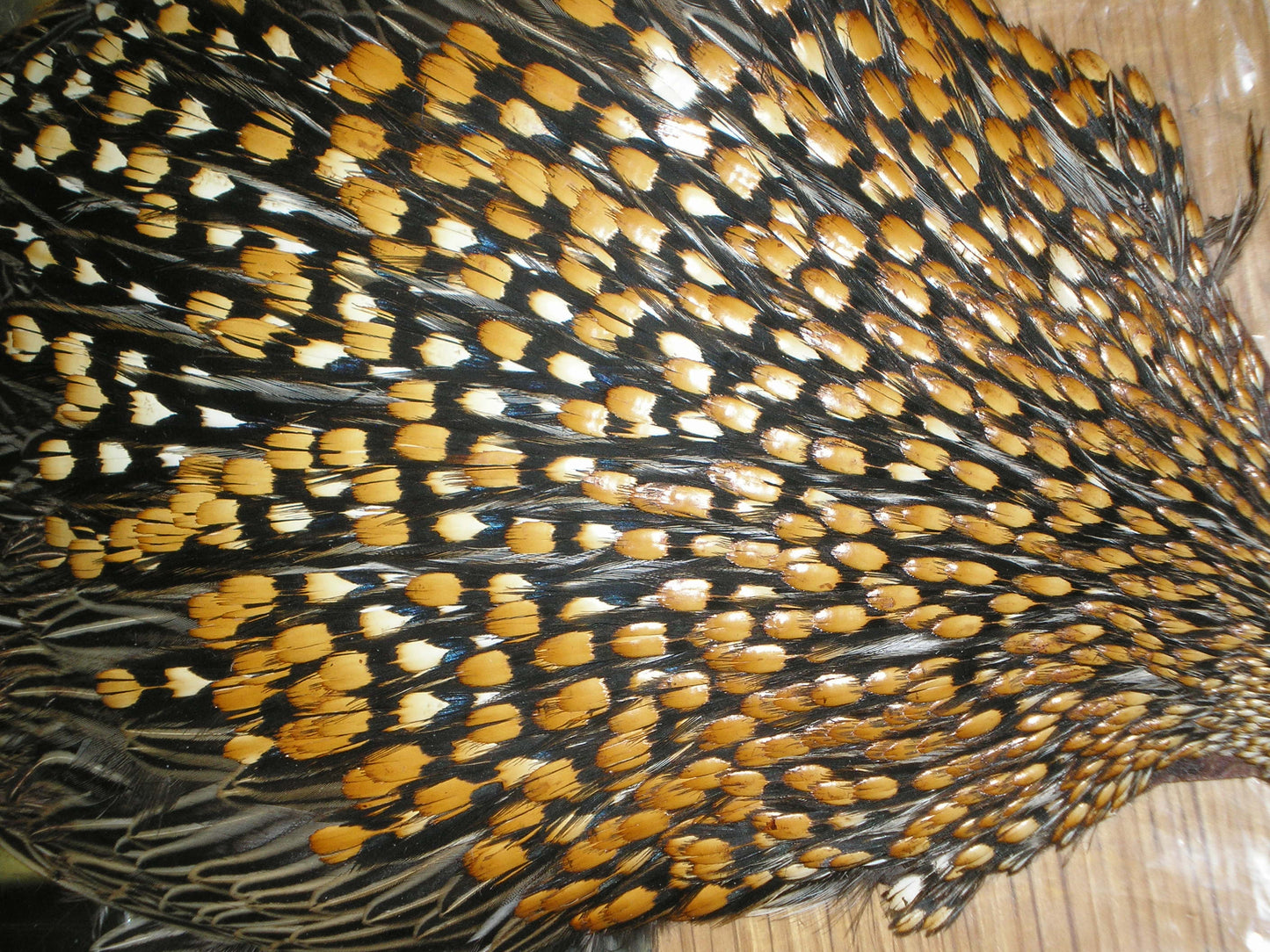 Jungle Cock Capes - All grades